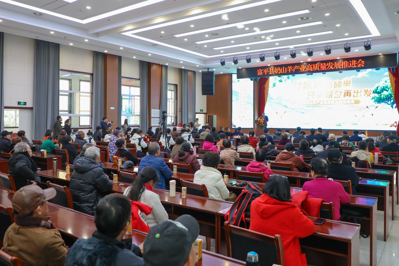 乡村振兴结硕果 只争朝夕再出发——富平县奶山羊产业高质量发展推进会在陕西富平举行(图3)